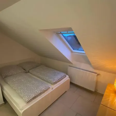 Ap2 Am Zoo Braunschweig